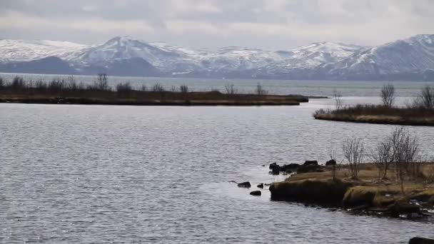 Park Narodowy Thingvellir Islandii Ingvellir Lub Park Narodowy Thingvellir Islandii — Wideo stockowe