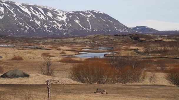 Parco Nazionale Thingvellir Islanda Ingvellir Thingvellir Parco Nazionale Islanda Sito — Video Stock