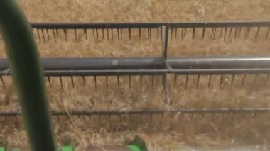 Hasat makine alanında çalışan. Hasat, altın olgun buğday alan hasat Tarım makineleri birleştirin. Tarım. Buğday hasat. Combain buğday ürün üzerinde toplar. Tahıl hasat.