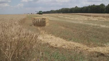 Buğday hasat bir güneşli yaz gününde hasat. Buğday hasat hasat birleştirmek.