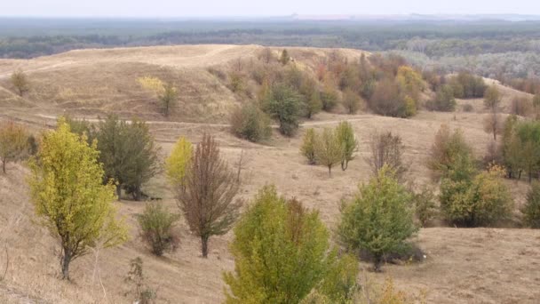 豪華な秋の田園地帯の眺め カラフルななだらかな丘陵 渓谷と木 ウクライナの美しい秋の風景 — ストック動画