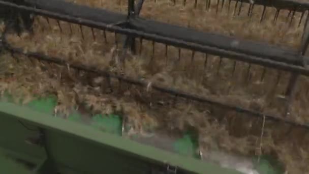 Sadonkorjuukone Toimii Kentällä Yhdistä Harvesteri Maatalouden Kone Korjuu Kultainen Kypsä — kuvapankkivideo