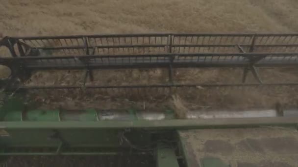 Harvester Machine Working Field Combine Harvester Agriculture Machine Harvesting Golden — Stock Video