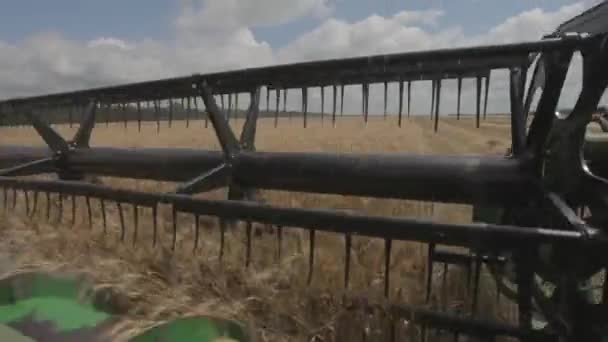 Betakarító Gép Területen Dolgozó Kombájn Mezőgazdasági Gép Mezőben Arany Érett — Stock videók