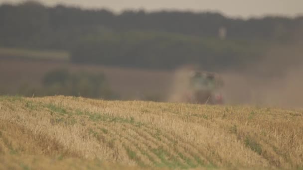 Het Oogsten Van Tarwe Harvester Een Zonnige Zomerdag Combineren Van — Stockvideo