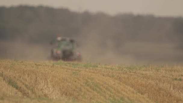 Skörda Vete Skördare Solig Sommardag Skördetröska Skörden Vete — Stockvideo