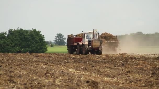 Natuurlijke Eko Meststof Met Mest Landbouwers Bemesten Akkerland Mest Bestemd — Stockvideo