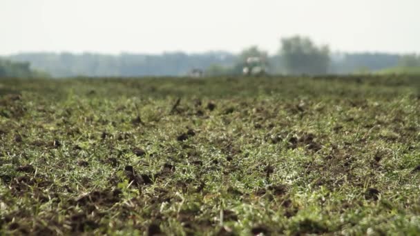 Haciendo Ensilaje Compost Compostaje Hierba Para Fertilizante Haciendo Heno Cortacésped — Vídeo de stock