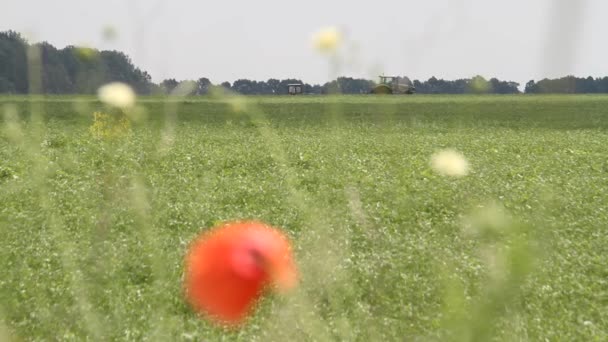 Fazer Silagem Compostagem Compostagem Grama Para Fertilizante Fazer Feno Máquina — Vídeo de Stock