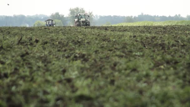 Haciendo Ensilaje Compost Compostaje Hierba Para Fertilizante Haciendo Heno Cortacésped — Vídeos de Stock