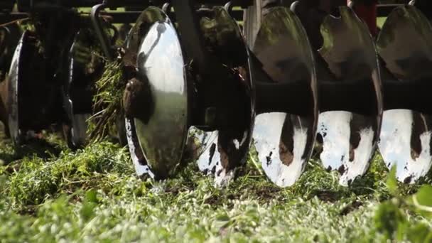 Het Maken Van Kuilvoer Compost Composteren Van Gras Voor Kunstmest — Stockvideo