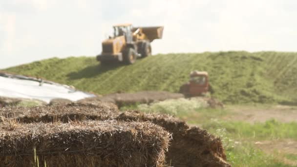 Haciendo Ensilaje Compost Compostaje Hierba Para Fertilizante Haciendo Heno Cortacésped — Vídeos de Stock