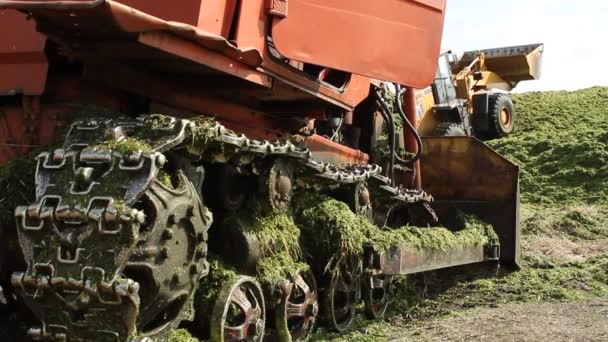 サイレージを作る 肥料用の草の堆肥を施すこと サイレージの芝刈り機のマシン わらおよび干し草の収穫 Ekology とバイオ肥料 — ストック動画