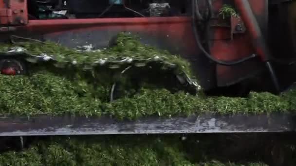 Silage Herstellen Kompost Kompostierung Von Gras Für Dünger Heuernte Silomähmaschine — Stockvideo