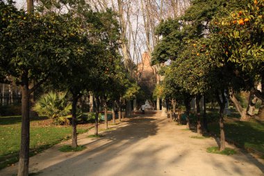 Barcelona görünümü - eski ve ünlü tarihi şehir, İspanya, İspanya. 