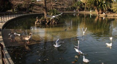 Barcelona görünümü - eski ve ünlü tarihi şehir, İspanya, İspanya. 