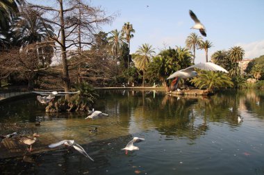 Barcelona görünümü - eski ve ünlü tarihi şehir, İspanya, İspanya. 
