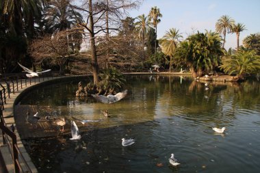 Barcelona görünümü - eski ve ünlü tarihi şehir, İspanya, İspanya. 