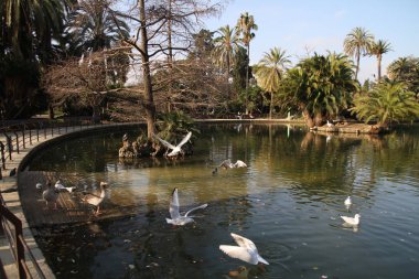 Barcelona görünümü - eski ve ünlü tarihi şehir, İspanya, İspanya. 