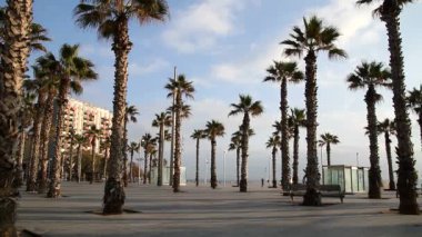 Barcelona görünümü - eski ve ünlü tarihi şehir, İspanya, İspanya. 