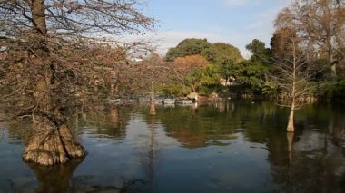 Barcelona görünümü - eski ve ünlü tarihi şehir, İspanya, İspanya. 