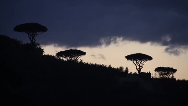 Amalfi Kusten Italien Solnedgång Sorrento Havets Vågor Stenar Och Solljus — Stockvideo