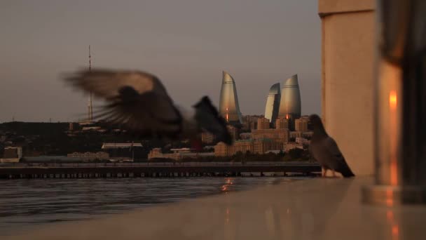 Blick Auf Baku Historische Azerbaidschanische Hauptstadt Frühen Morgen Und Die — Stockvideo