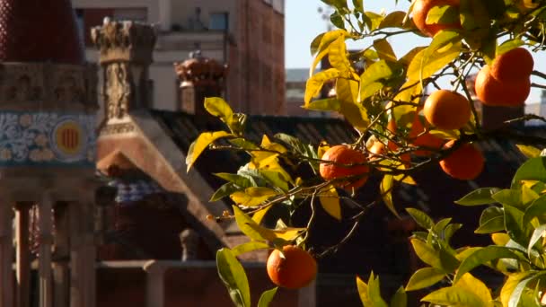 Barcelona View Alte Und Berühmte Historische Stadt Katalonien Spanien — Stockvideo