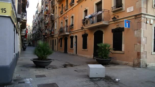 Barcelona Vista Cidade Histórica Antiga Famosa Catalunha Espanha — Vídeo de Stock