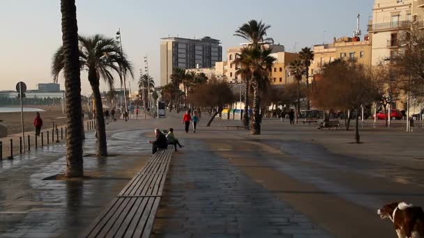 Barcellona Vista Vecchia Famosa Città Storica Della Catalogna Spagna — Video Stock