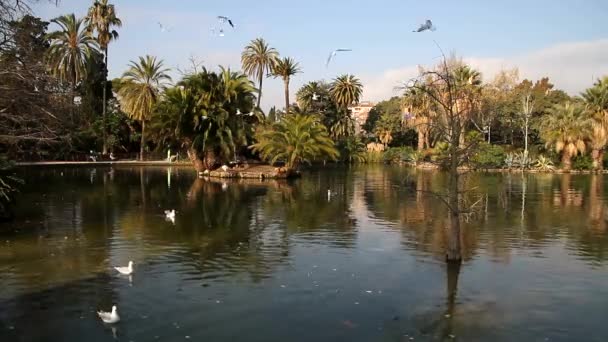 Barcelona Vista Cidade Histórica Antiga Famosa Catalunha Espanha — Vídeo de Stock