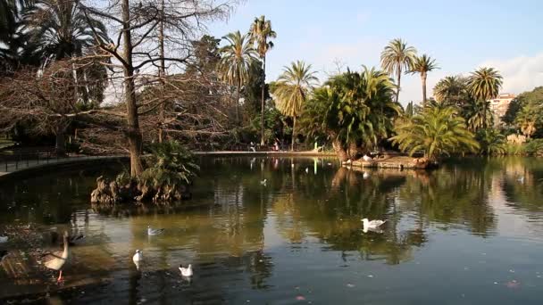 Barcelona View Oude Beroemde Historische Stad Catalonië Spanje — Stockvideo