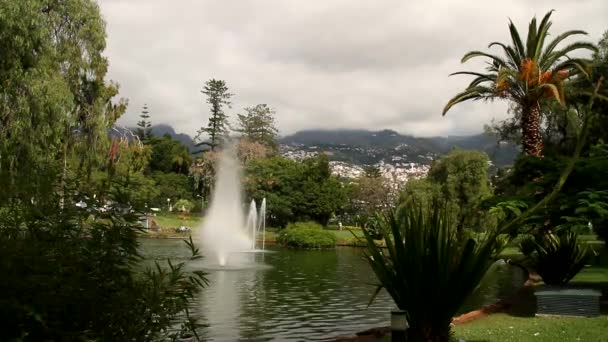 Funchal Capitale Dell Isola Madeira Madeira Autonomia Tropicale Bella Del — Video Stock