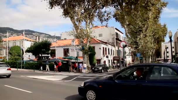 Funchal Hoofdstad Van Het Eiland Madeira Madeira Tropische Mooie Portugal — Stockvideo