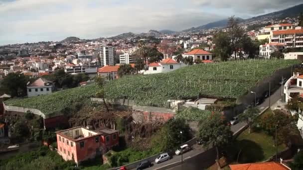 Funchal Capital Isla Madeira Madeira Hermosa Tropical Autonomía Portugal Océano — Vídeo de stock