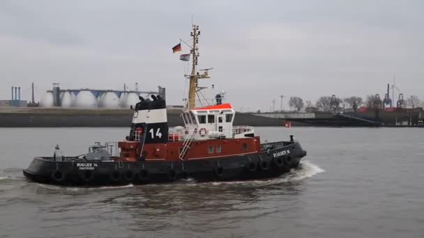 Udsigt Hamburg Gamle Historiske Tyske Fragtskibe Elben Gamle Havne Bygninger – Stock-video