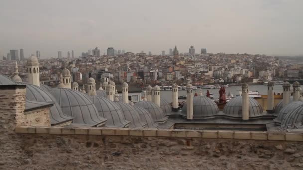 Landschap Van Historische Gedeelte Van Istanbul Beroemde Stad Turkije Weergave — Stockvideo