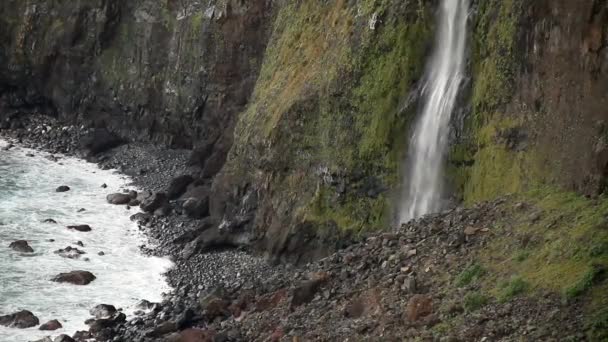 Vista Madeira Natura Bellissima Accogliente Sull Isola Portoghese Portogallo Autonomia — Video Stock