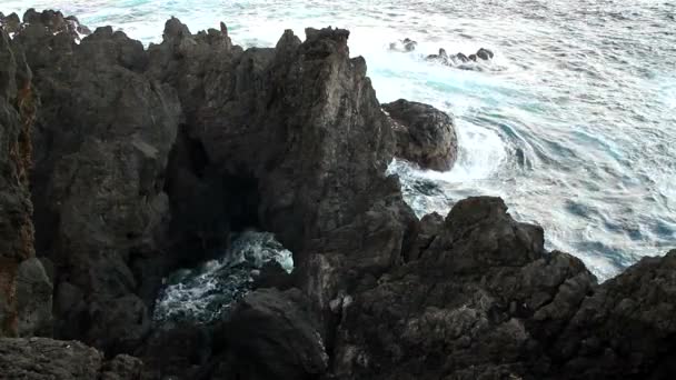 Vista Madeira Natura Bellissima Accogliente Sull Isola Portoghese Portogallo Autonomia — Video Stock