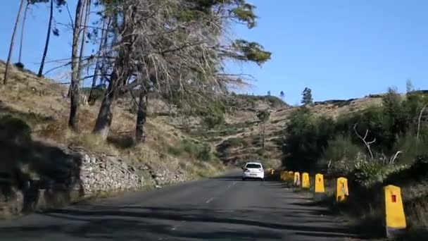 Madeira Pohled Krásný Útulný Charakter Portugalském Ostrově Autonomie Portugalsko Madeira — Stock video