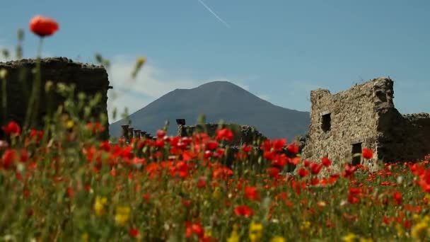 Történelmi Római Romok Ásatások Pompei Olaszország Pompei Scavi Napoli — Stock videók