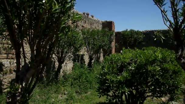 Rovine Storiche Romane Scavi Pompei Italia Pompei Scavi Napoli — Video Stock