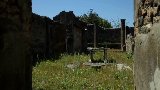 Historiska Romerska Ruiner Utgrävningar Pompeji Italia Pompei Scavi Napoli — Stockvideo