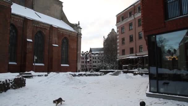 Historiska Centrum Riga Lettlands Huvudstad Riga Juletid Europeiska Staden Vintern — Stockvideo