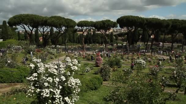 Blick Auf Rom Italien Romanische Architektur Und Wahrzeichen Alte Berühmte — Stockvideo