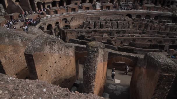 Över Colosseum Rom Italien Romersk Arkitektur Och Sevärdheter Gamla Och — Stockvideo