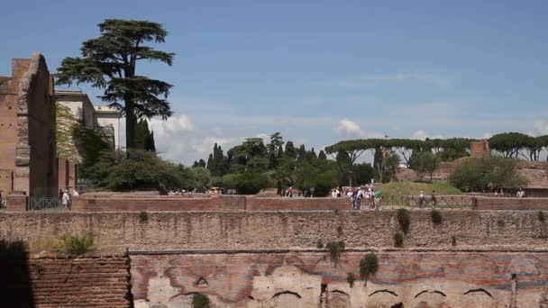 Foro Romano Roma Italia Arquitectura Romana Monumentos Atracción Antigua Famosa — Vídeo de stock