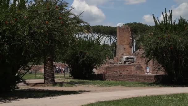 Forum Romanum Rom Italien Romersk Arkitektur Och Sevärdheter Gamla Och — Stockvideo