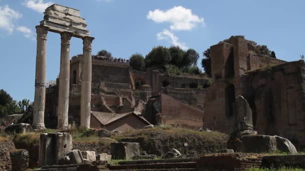 Forum Romanum Rom Italien Romersk Arkitektur Och Sevärdheter Gamla Och — Stockvideo