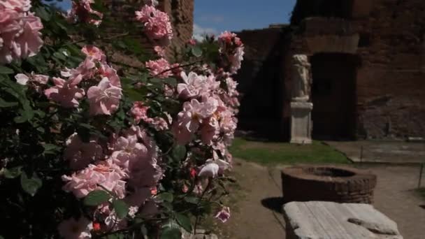 Römisches Forum Rom Italien Römische Architektur Und Wahrzeichen Alte Und — Stockvideo